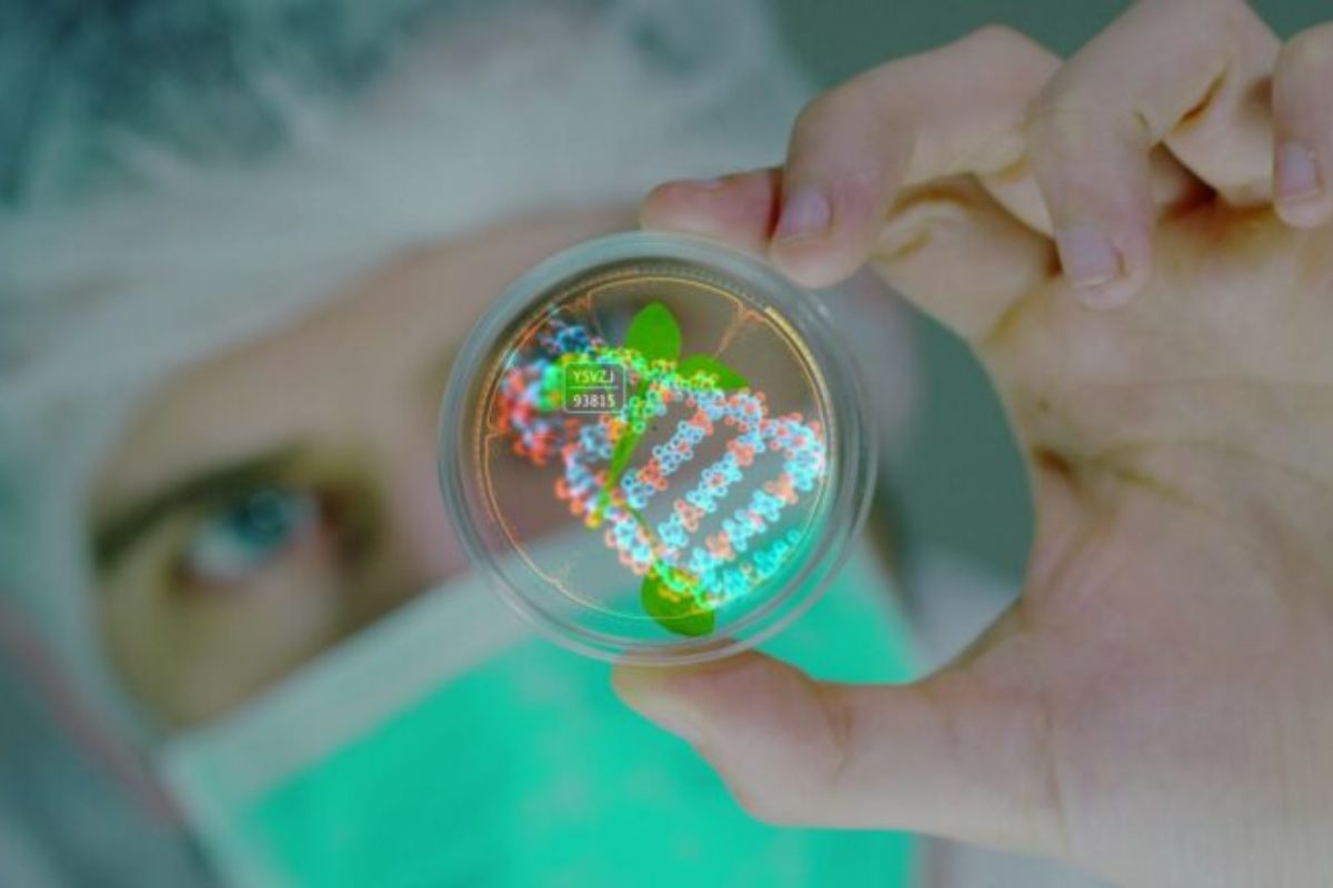 video marketing cho doanh nghiệp