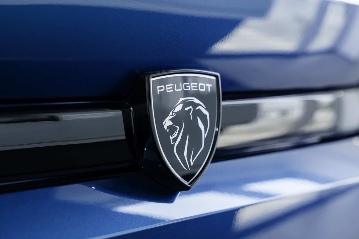 Ngành Hàng Địa Điểm quay phim chụp ảnh triển lãm